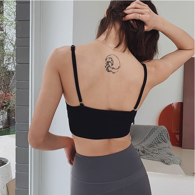 VOLTLY Padded Sports Bra – Free Size (30/32/34) | Wire-Free Comfort | Pack of 3
